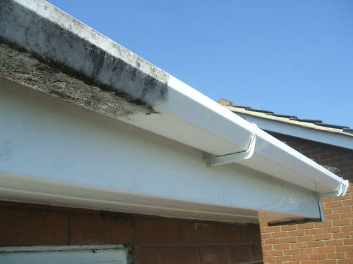 Fascia and soffit cleaning